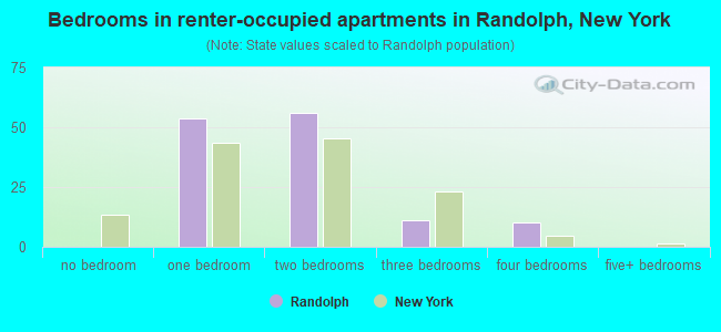 Bedrooms in renter-occupied apartments in Randolph, New York