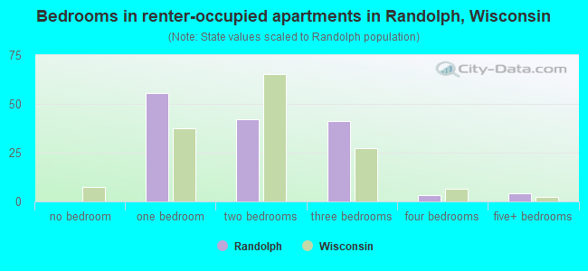 Bedrooms in renter-occupied apartments in Randolph, Wisconsin