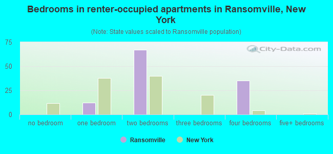 Bedrooms in renter-occupied apartments in Ransomville, New York