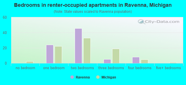 Bedrooms in renter-occupied apartments in Ravenna, Michigan