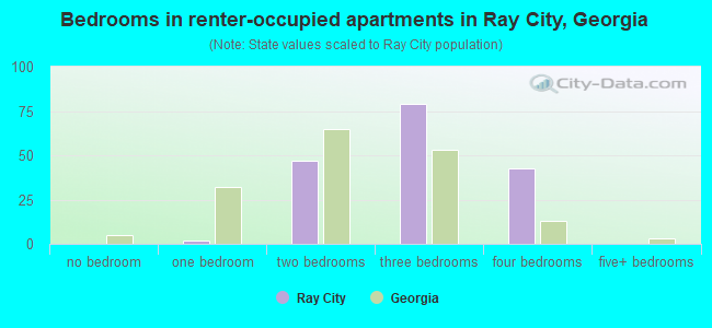 Bedrooms in renter-occupied apartments in Ray City, Georgia
