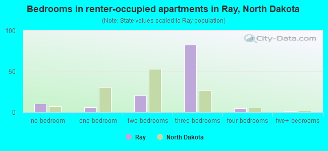 Bedrooms in renter-occupied apartments in Ray, North Dakota