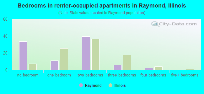 Bedrooms in renter-occupied apartments in Raymond, Illinois