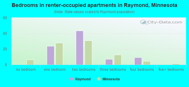 Bedrooms in renter-occupied apartments in Raymond, Minnesota