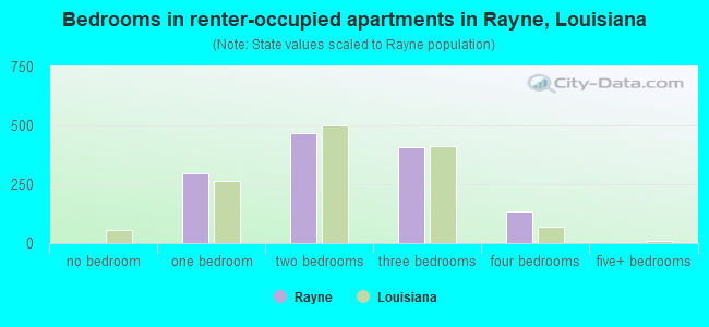 Bedrooms in renter-occupied apartments in Rayne, Louisiana