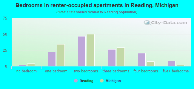 Bedrooms in renter-occupied apartments in Reading, Michigan