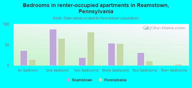 Bedrooms in renter-occupied apartments in Reamstown, Pennsylvania