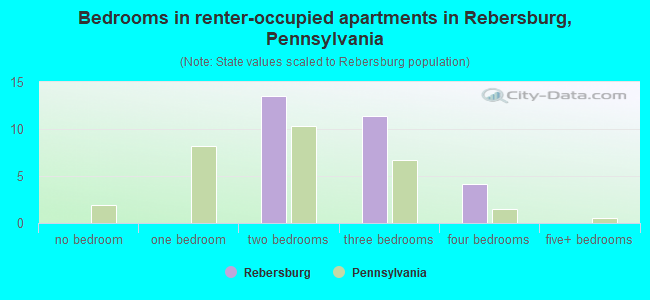 Bedrooms in renter-occupied apartments in Rebersburg, Pennsylvania