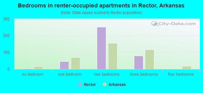 Bedrooms in renter-occupied apartments in Rector, Arkansas