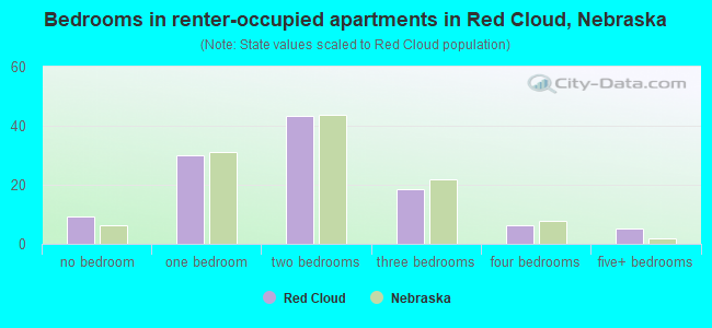 Bedrooms in renter-occupied apartments in Red Cloud, Nebraska