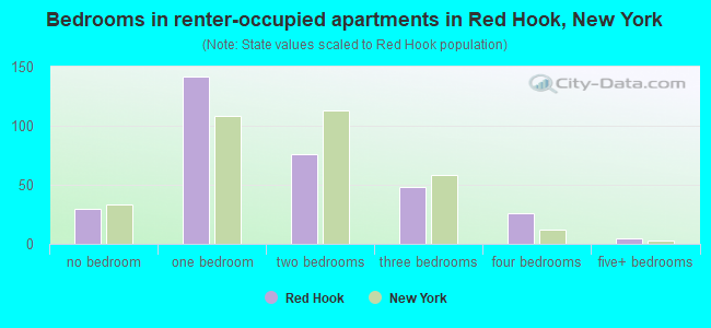 Bedrooms in renter-occupied apartments in Red Hook, New York