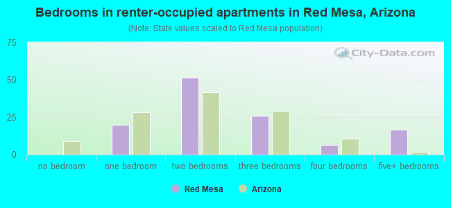 Bedrooms in renter-occupied apartments in Red Mesa, Arizona