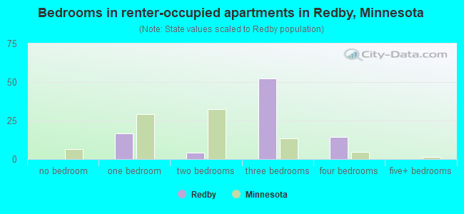 Bedrooms in renter-occupied apartments in Redby, Minnesota