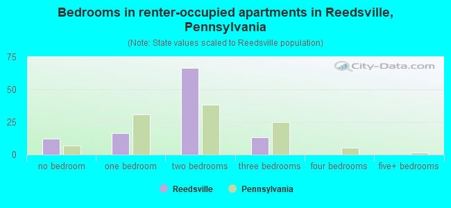 Bedrooms in renter-occupied apartments in Reedsville, Pennsylvania