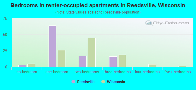 Bedrooms in renter-occupied apartments in Reedsville, Wisconsin