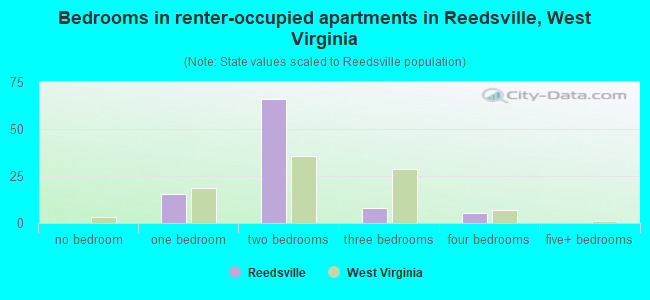 Bedrooms in renter-occupied apartments in Reedsville, West Virginia