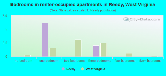 Bedrooms in renter-occupied apartments in Reedy, West Virginia