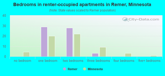 Bedrooms in renter-occupied apartments in Remer, Minnesota