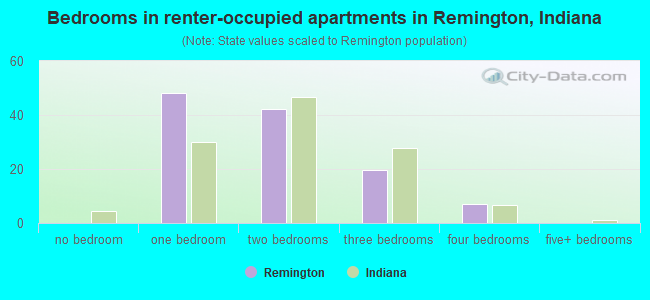 Bedrooms in renter-occupied apartments in Remington, Indiana