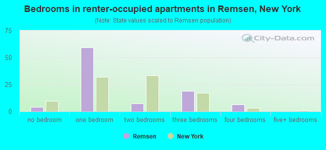 Bedrooms in renter-occupied apartments in Remsen, New York