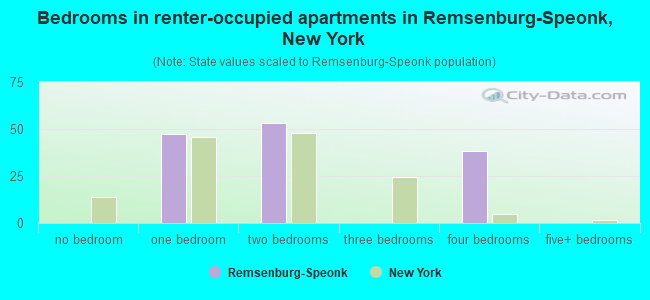 Bedrooms in renter-occupied apartments in Remsenburg-Speonk, New York