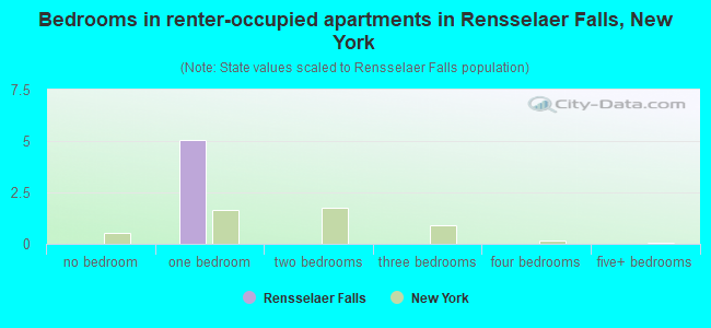 Bedrooms in renter-occupied apartments in Rensselaer Falls, New York