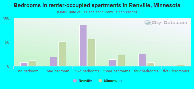 Bedrooms in renter-occupied apartments in Renville, Minnesota