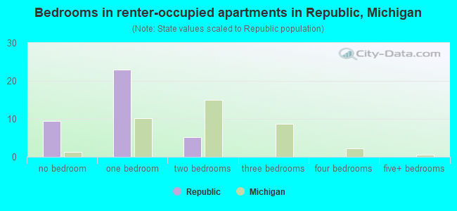 Bedrooms in renter-occupied apartments in Republic, Michigan