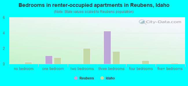 Bedrooms in renter-occupied apartments in Reubens, Idaho