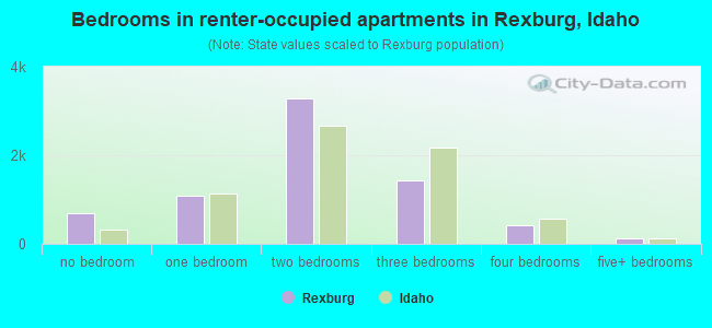 Bedrooms in renter-occupied apartments in Rexburg, Idaho