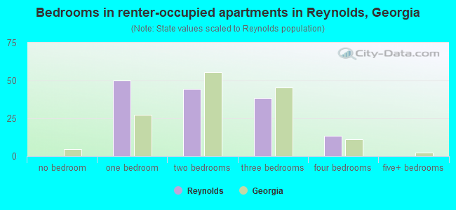 Bedrooms in renter-occupied apartments in Reynolds, Georgia