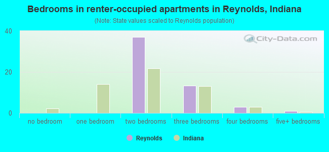 Bedrooms in renter-occupied apartments in Reynolds, Indiana
