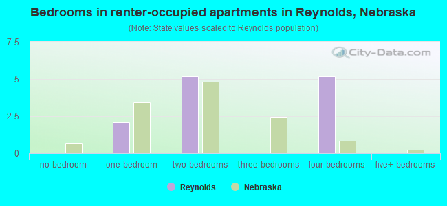 Bedrooms in renter-occupied apartments in Reynolds, Nebraska