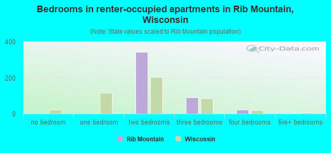 Bedrooms in renter-occupied apartments in Rib Mountain, Wisconsin