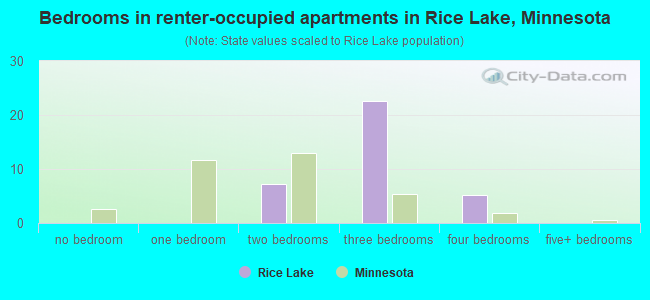 Bedrooms in renter-occupied apartments in Rice Lake, Minnesota