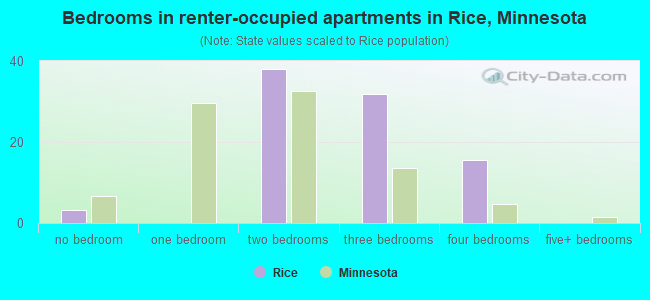 Bedrooms in renter-occupied apartments in Rice, Minnesota