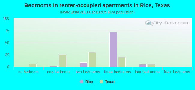 Bedrooms in renter-occupied apartments in Rice, Texas