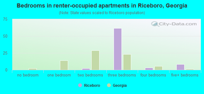 Bedrooms in renter-occupied apartments in Riceboro, Georgia