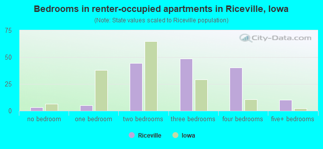Bedrooms in renter-occupied apartments in Riceville, Iowa