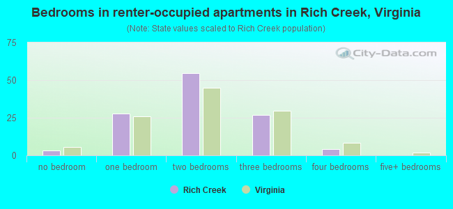 Bedrooms in renter-occupied apartments in Rich Creek, Virginia