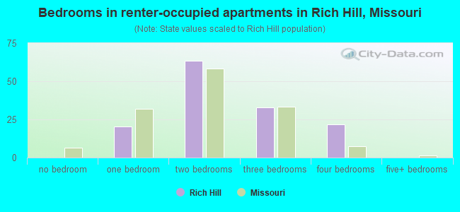 Bedrooms in renter-occupied apartments in Rich Hill, Missouri
