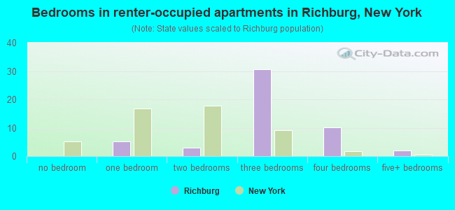 Bedrooms in renter-occupied apartments in Richburg, New York