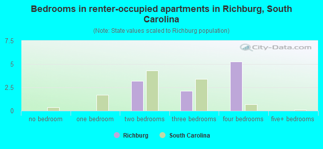 Bedrooms in renter-occupied apartments in Richburg, South Carolina