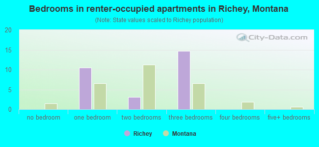 Bedrooms in renter-occupied apartments in Richey, Montana