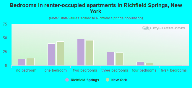 Bedrooms in renter-occupied apartments in Richfield Springs, New York