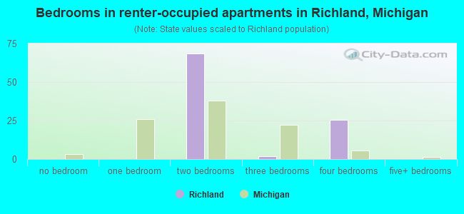 Bedrooms in renter-occupied apartments in Richland, Michigan