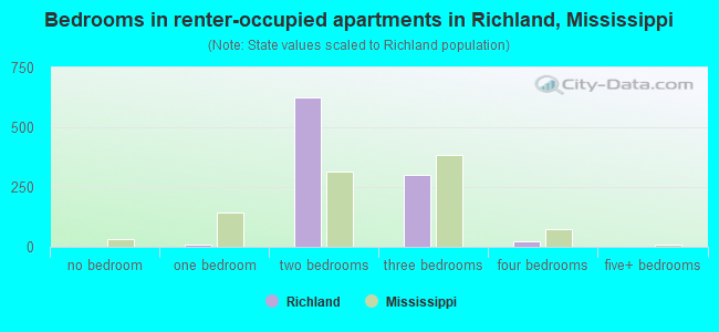 Bedrooms in renter-occupied apartments in Richland, Mississippi
