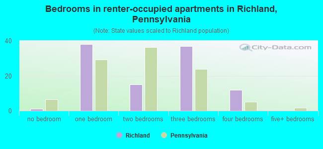 Bedrooms in renter-occupied apartments in Richland, Pennsylvania