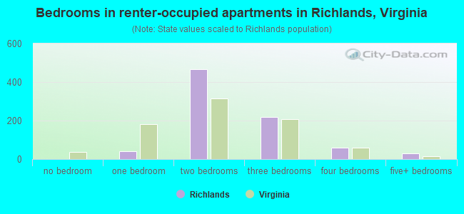 Bedrooms in renter-occupied apartments in Richlands, Virginia