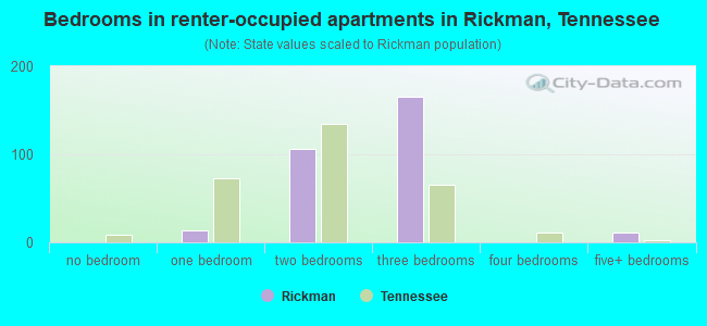 Bedrooms in renter-occupied apartments in Rickman, Tennessee